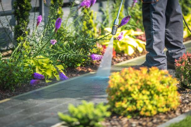 Reliable South Floral Park, NY Pressure Washing Solutions