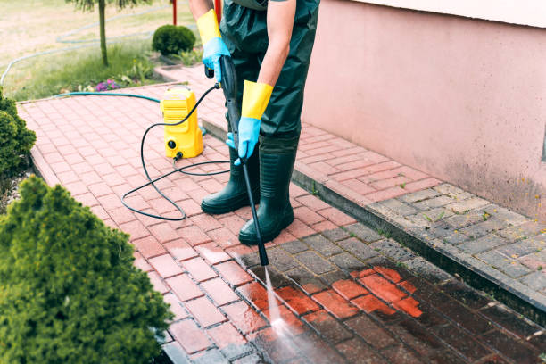 Best Dumpster Area Cleaning  in South Floral Park, NY