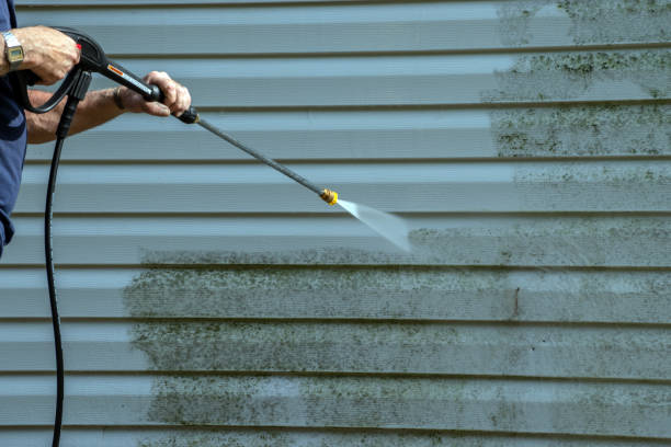 Best Graffiti Removal  in South Floral Park, NY